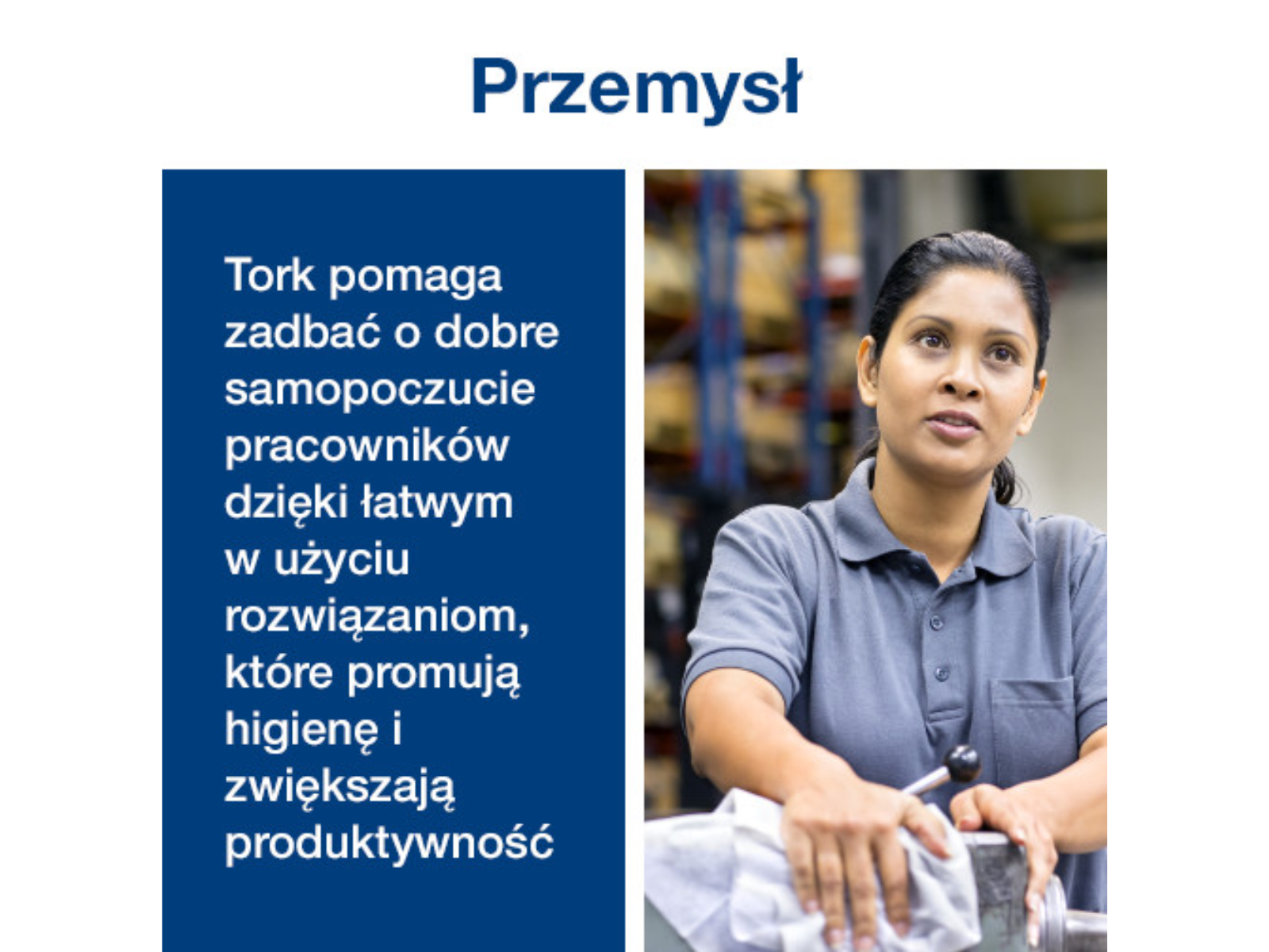 Czyściwo x1 Tork 130080 QD Blue Premium 3W 255mb